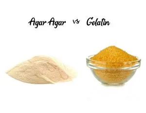 Comparrison Gelatine vs Agar Agar