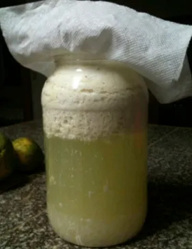 LAB korean natural farming curd separation