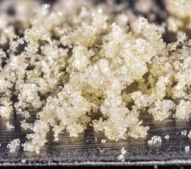 Nikka-T 90u Waterhash Closeup Picture