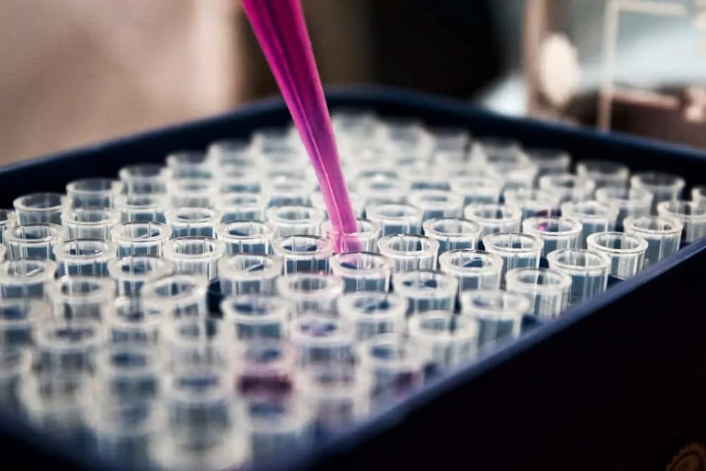 Test tubes with nutrient Solution