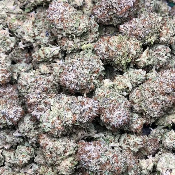 Gastown Cannabis Flowers Mimosa