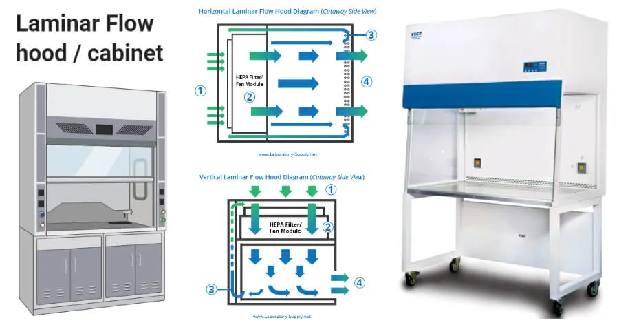 Laminar flow hood or cabinet