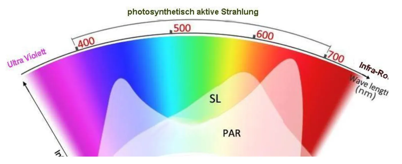 PAR-Spektrum Cannabis