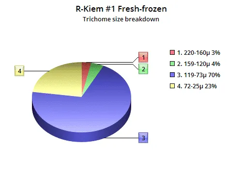 Trichomesize distribution Alchimia
