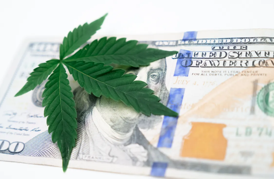 Kalifornien: 100 000 000 $ für Cannabis-Branche – Viele Nullen, nichts dahinter?
