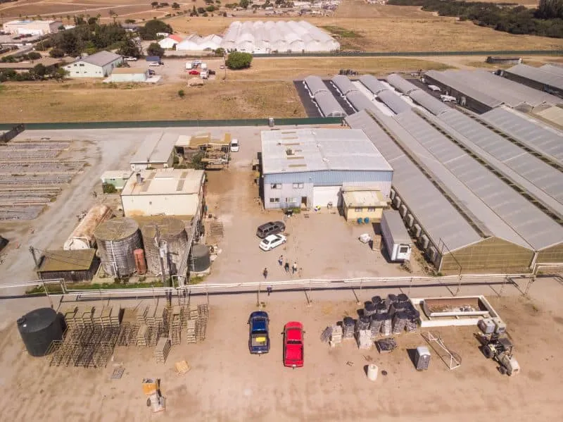 bird's eye view Cannabis Greenhouse Farm from above