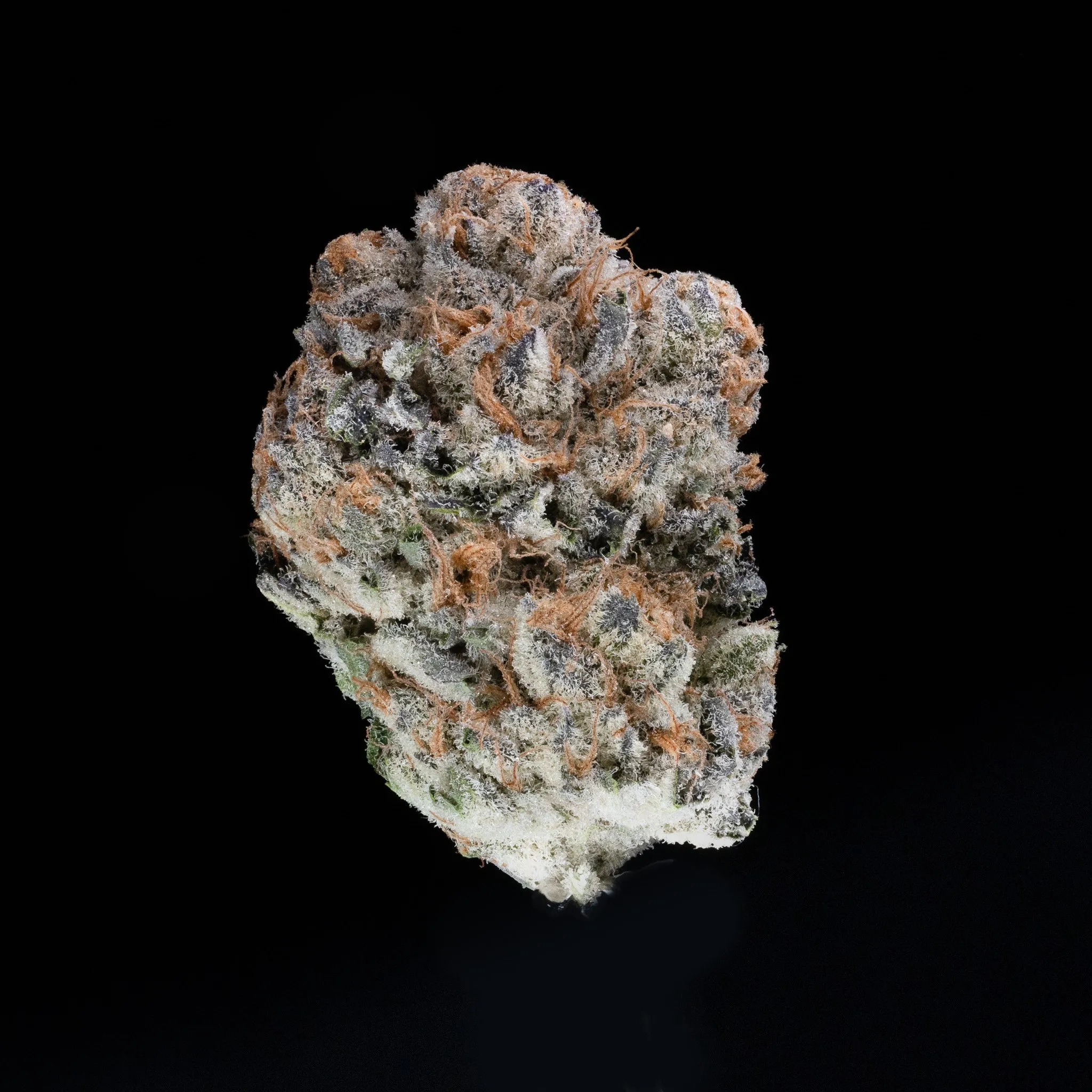 Dried cannabis flower against a black background