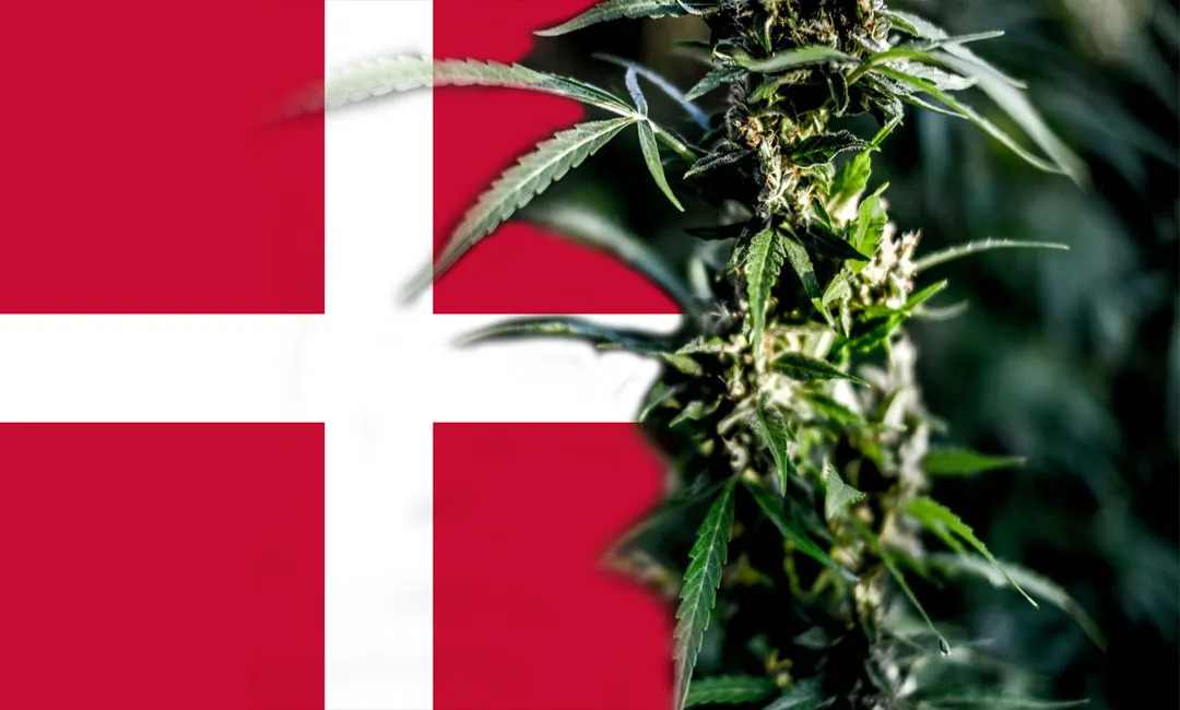 dänemark-modell-project-medical-cannabis-may-2021
