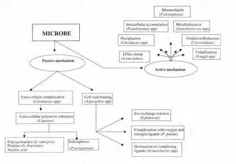 Ein Bild, das Diagramm enthält. Automatisch generierte Beschreibung