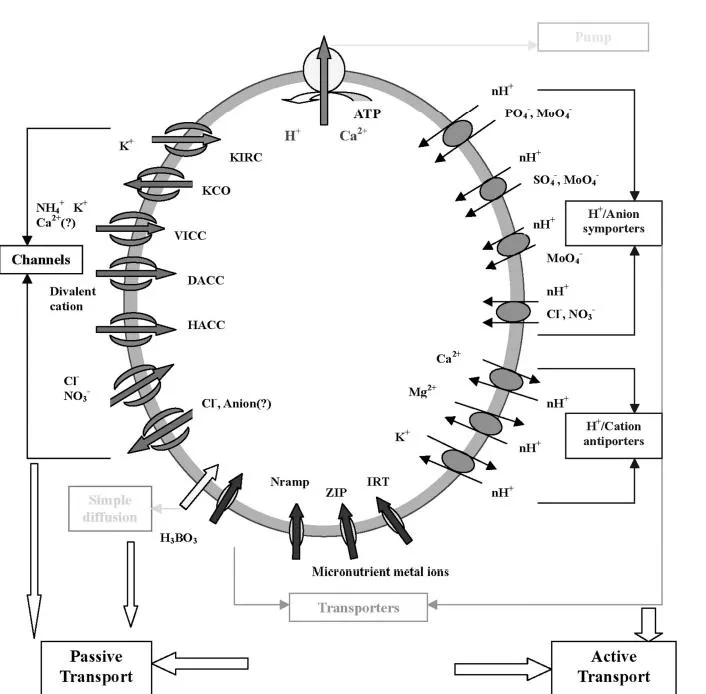Ein Bild, das Diagramm enthält. Automatisch generierte Beschreibung