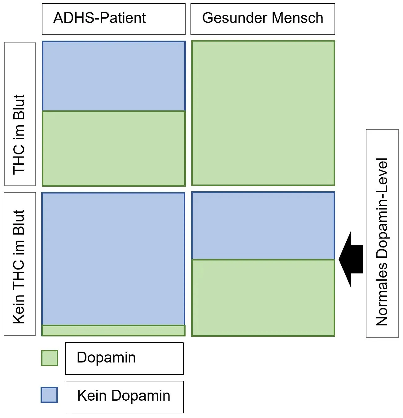 Chart showing dopamine levels of adhd and neurotypical patients