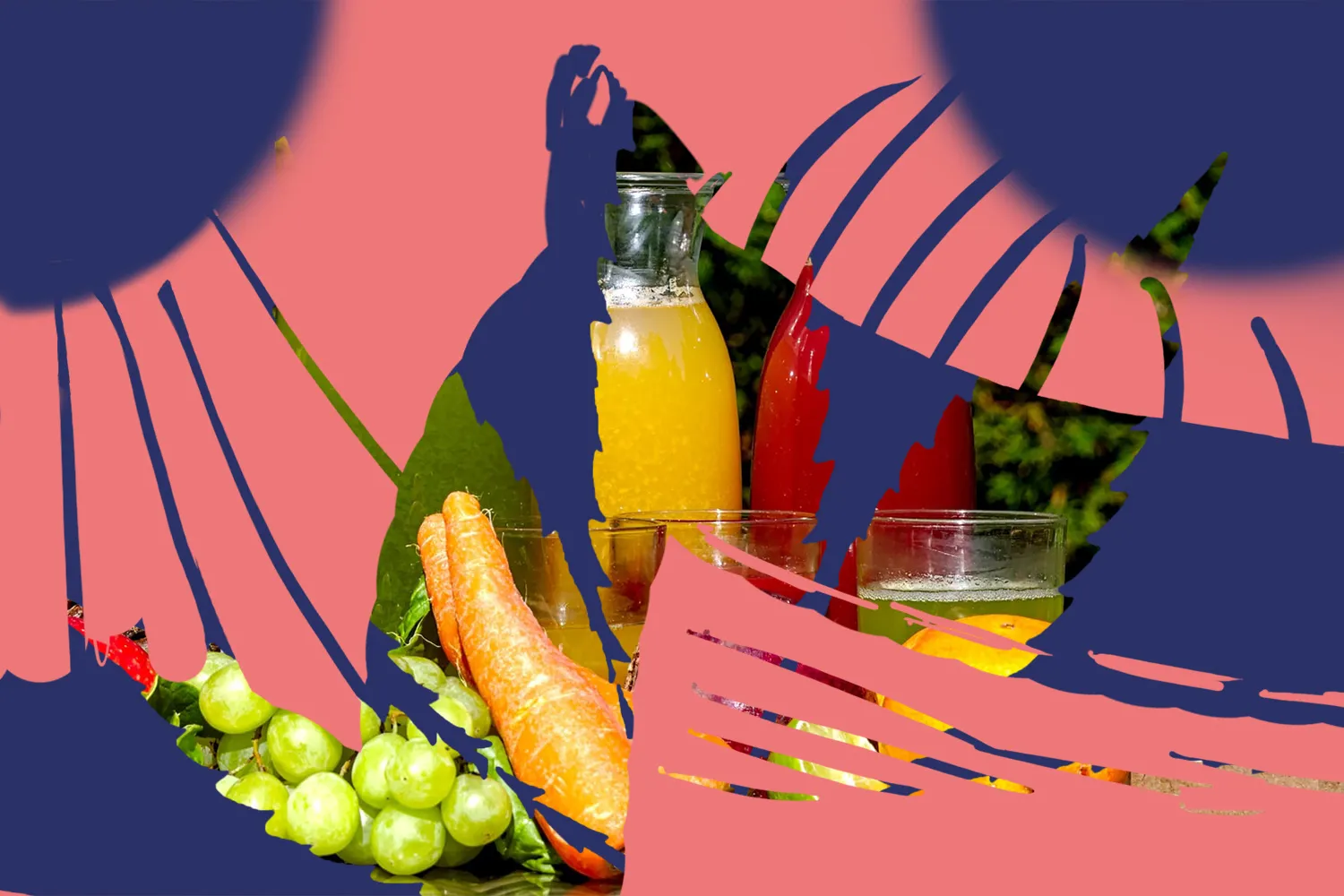 fermented fruit juice cannabis