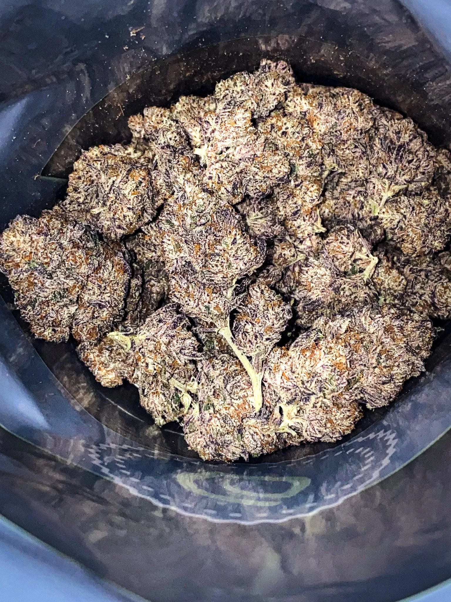 Dried cannabis flowers in a storage container