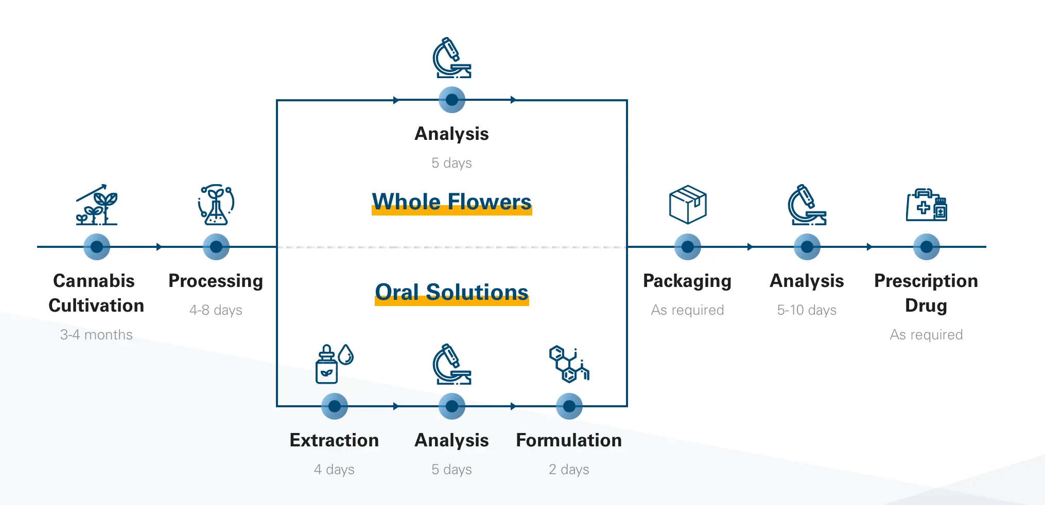 tilray drying and curing process under 8 days.png