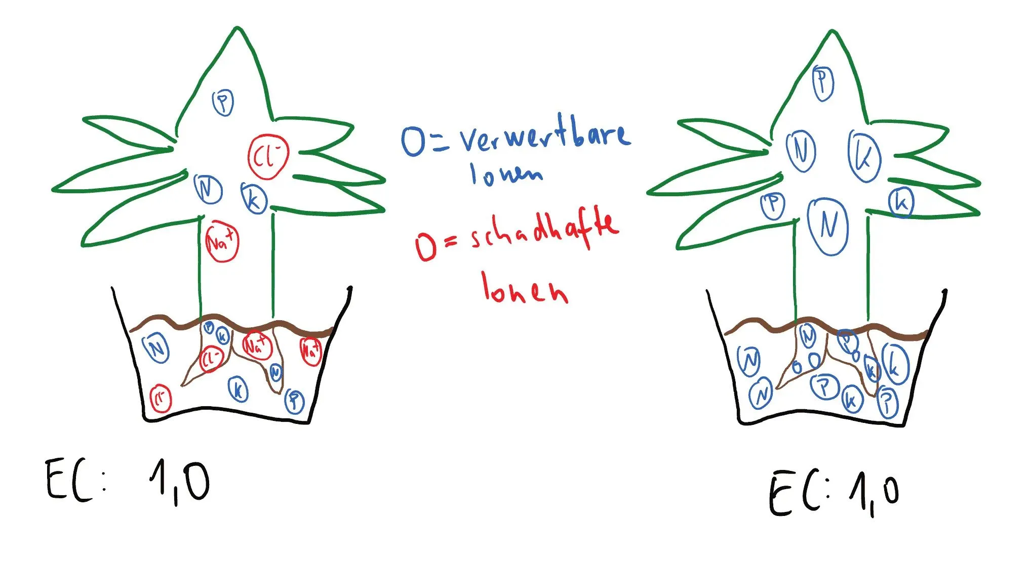 usable and defective ions