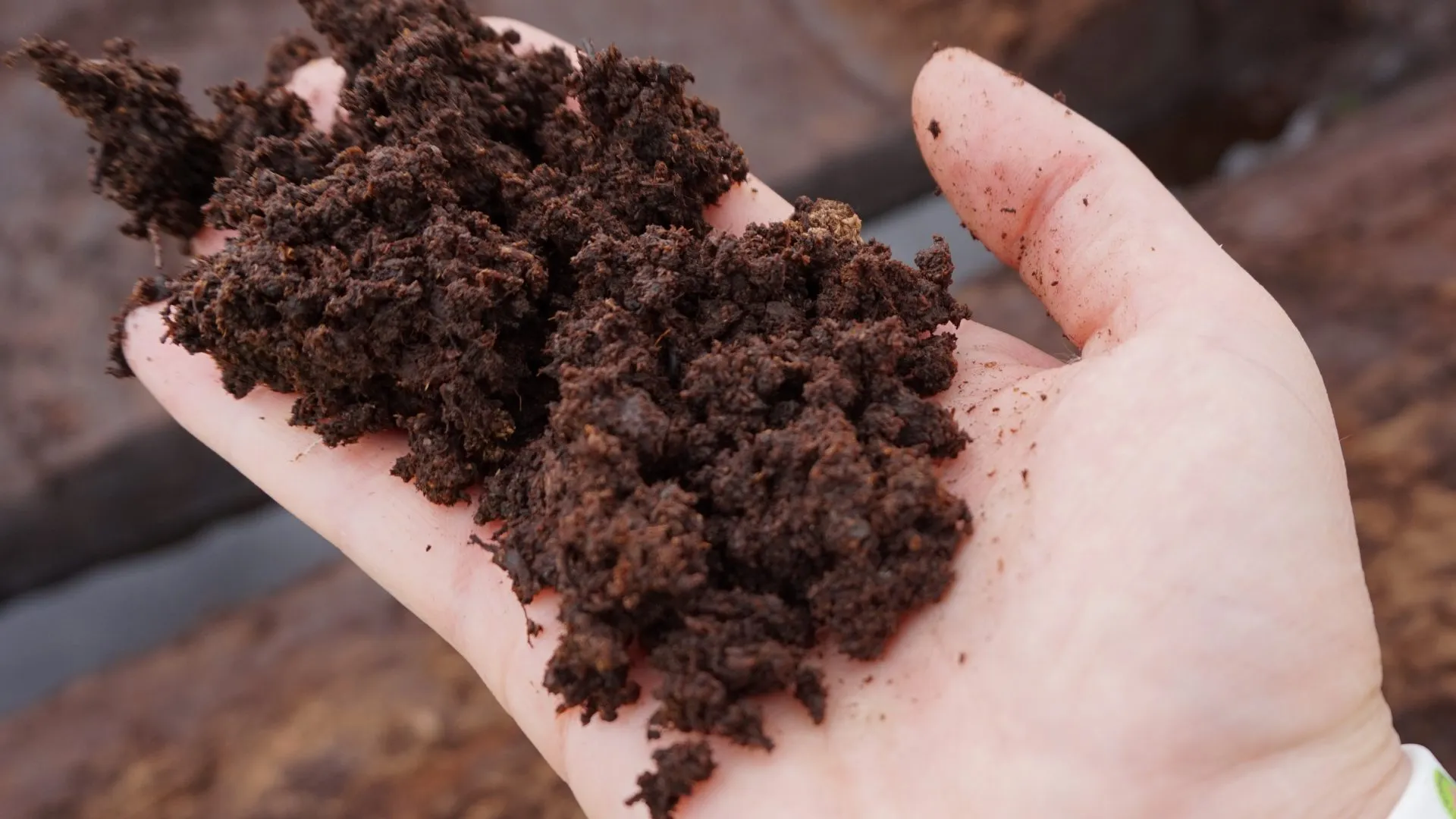 Indoor Living Soil – Die Grundlagen