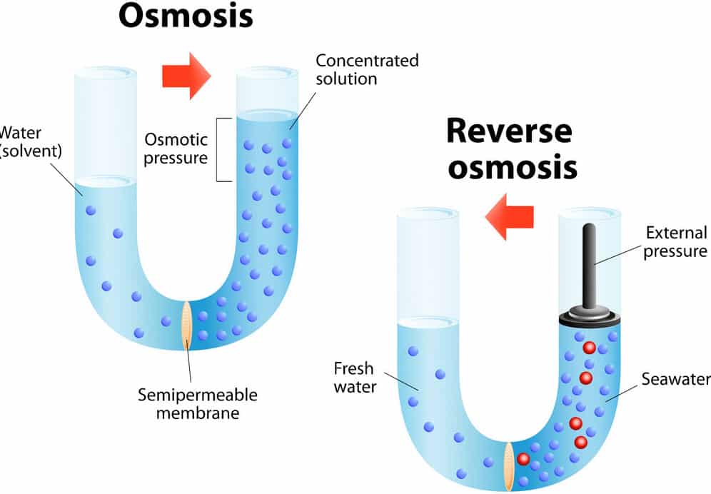 Reverse Osmosis vs Osmosis Principle
