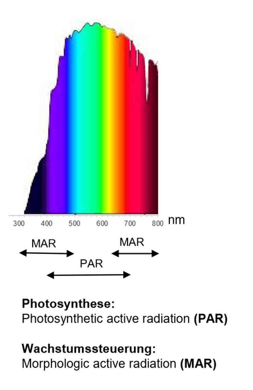 MAR spectrum PAR Spectrum differences